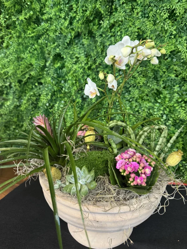 Dish Garden - Image 6